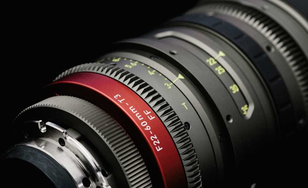 MCX WEBSITE SELECTS-23