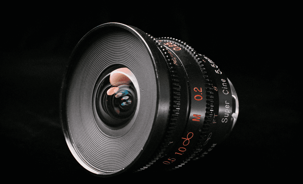 MCX WEBSITE SELECTS-120
